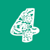 搜索app